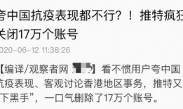 网友爆料南岸新闻视频大全,南岸新闻视频大全，带你领略南岸风采