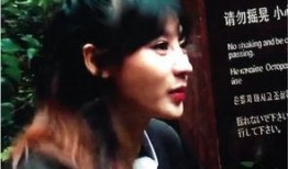 西安整容爆料事件始末视频,真相与争议的漩涡